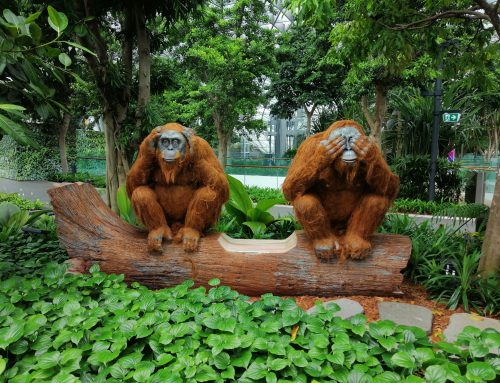 Cu mintea esticului in corpul vesticului, calatorie in Asia – Partea 1