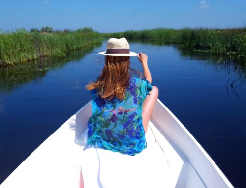 Cele 7 minuni ale lumii